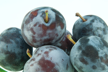 新鮮なプルーン