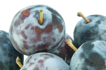 新鮮なプルーン