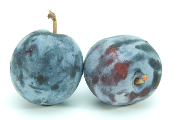 新鮮なプルーン