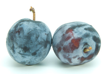 新鮮なプルーン