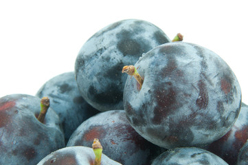 新鮮なプルーン