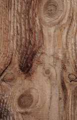 Background of wood texture