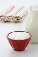 Delicious healthy milk and cottage cheese