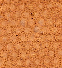 Background of reverse side biscuit. Macro.