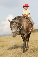 boy riding a horse on farm outdoor portrait