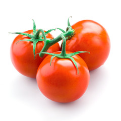 tomato branch