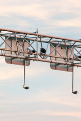 Surveillance camera system above a highway