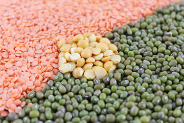 mungbohnen mit linsen und indische bohnen