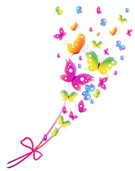 butterfly,butterflies vector