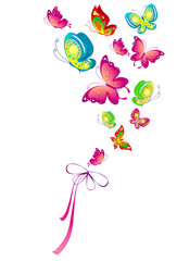 Plakat butterfly,butterflies