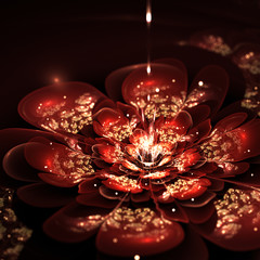 fractal flower with red and golden petals