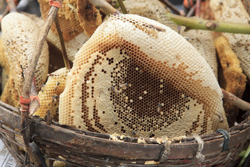 natural honeycomb in fresh market  use for food  ingredien topic