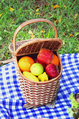 Picnic basket outdoor