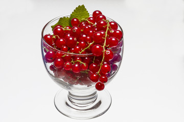 Rote Johannisbeeren