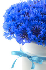 Bunch of blue vivid exotic flower of cornflower