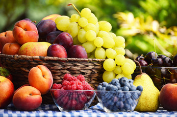 Obraz premium Basket of fresh organic fruits in the garden