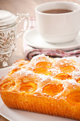Sponge cake with apricots sprinkled with powdered sugar