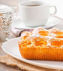 Sponge cake with apricots sprinkled with powdered sugar