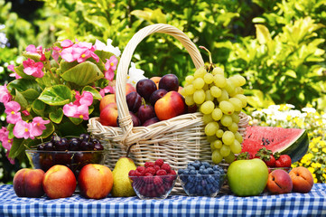 Basket of fresh organic fruits in the garden