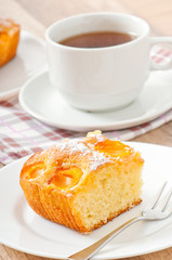 Sponge cake with apricots sprinkled with powdered sugar