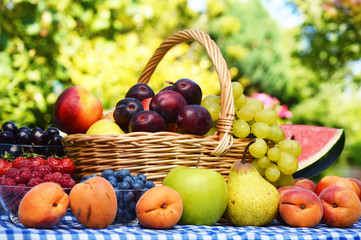 Naklejka na ściany i meble Basket of fresh organic fruits in the garden