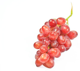 Red grapes which isolated image