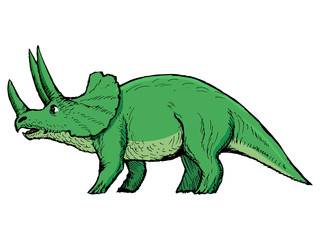triceratops © Perysty