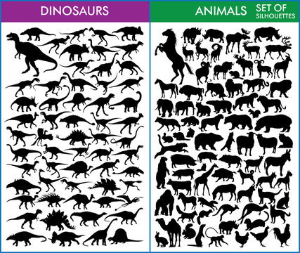 Dinosaurs and animals