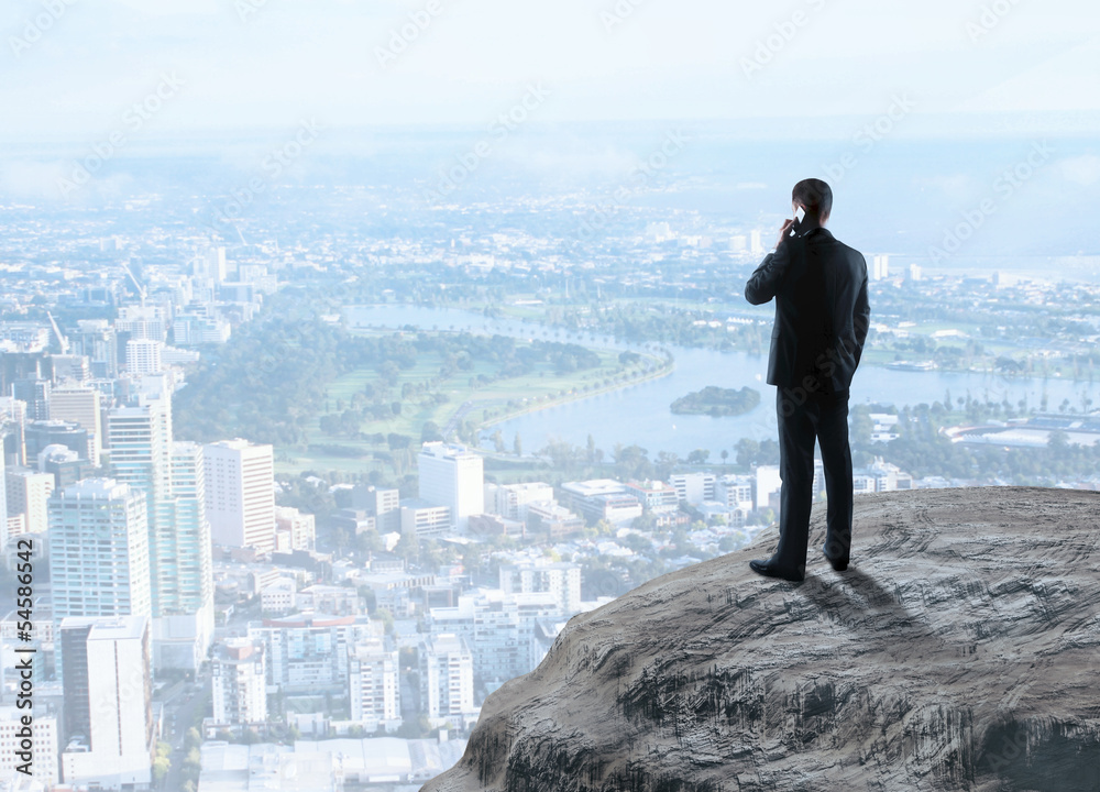 Wall mural businessman standing rock