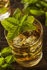 Homemade Gourmet Mint Julep