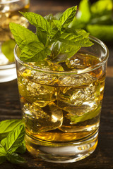 Homemade Gourmet Mint Julep