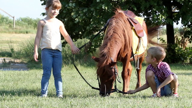 children play with pony horse