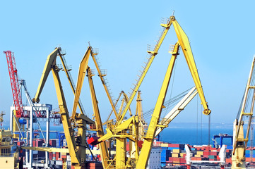 Fototapeta premium Container stack and ship under crane bridge