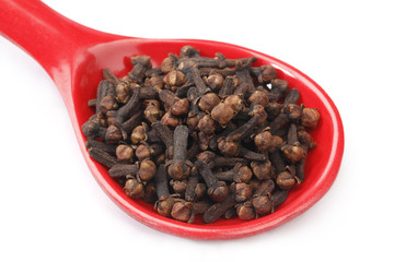 Cloves in Red Plastic Spoons
