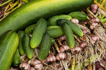 cucumbers, zucchini and garlic laying on the grass