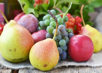 autumn fruits