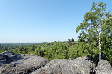 Fototapeta na wymiar point de vue sur le massif de Fontainebleau