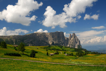 Seiser Alm mit Schlern im Hintergrund