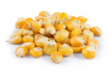 Dried corn kernels
