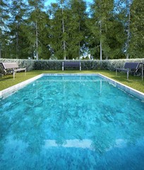 Natural Pool