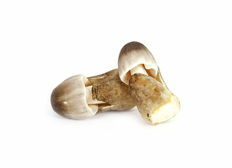 Straw mushroom isolated on white background