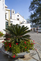 Fototapeta na wymiar urban plaza and church on the Alcoutim town 