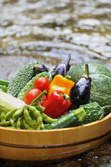 夏野菜
