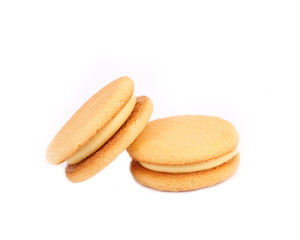 Biscuit sandwich with white filling. Close up.