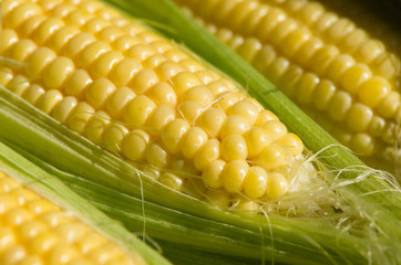 Sweetcorn