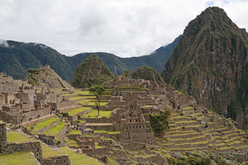 Machu Picchu