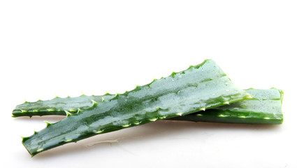 Aloe vera plant isolated on white