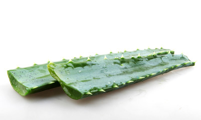 Aloe vera plant isolated on white