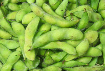 Soybean background