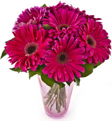 bouquet of gerberas in vase isolated on white background